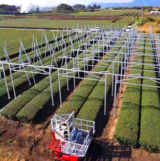 फोटोवोल्टिक कृषि प्रणाली में बढ़ते सिस्टम जापान -100KW 